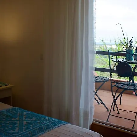 Con Splendido Giardino E Vista Mare A Osseddu - Olbia Holiday home Pittulongu
